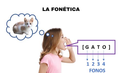 La Fonética: El fono