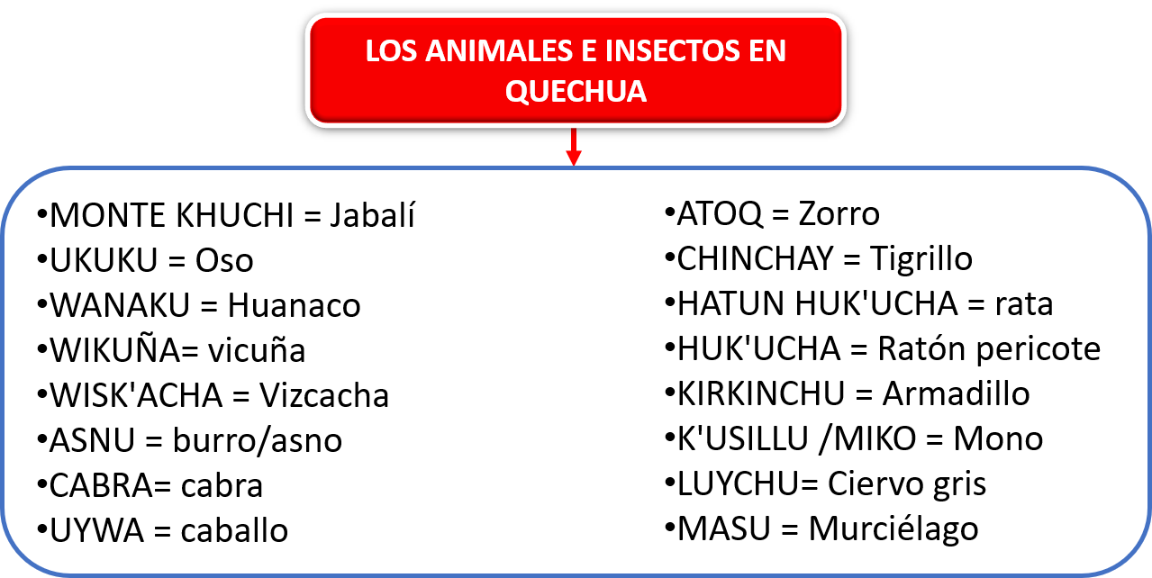 Los animales e insectos en quechua